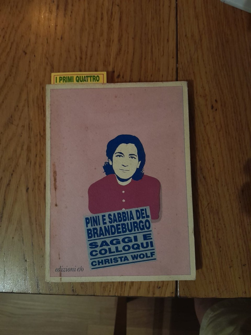 Pini e sabbia del Brandeburgo Saggi e colloqui
