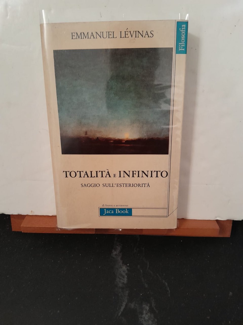 Totalità e Infinito saggio sull'esteriorità
