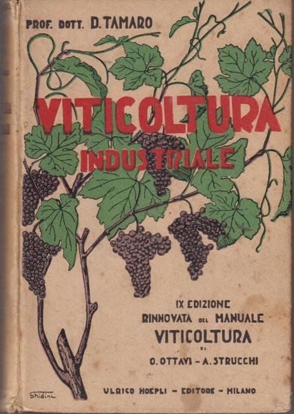 Viticoltura industriale