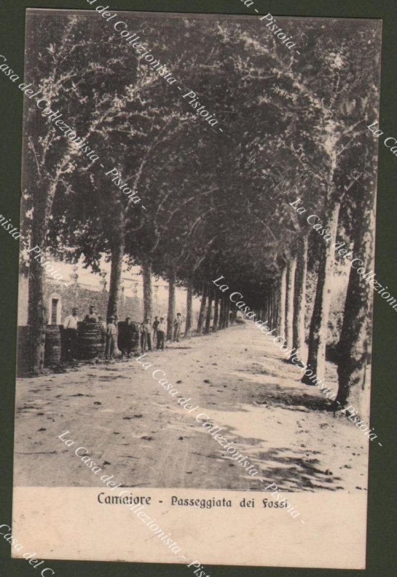 CAMAIORE, Lucca. Passeggiata dei Fossi. Cartolina viaggiata nel 1910