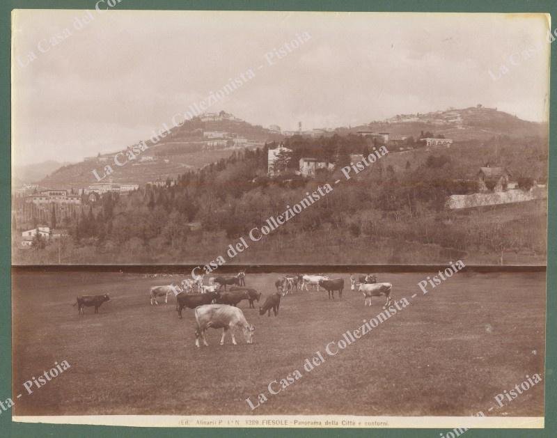 FIESOLE, Firenze. Panorama. Foto originale Alinari circa 1890