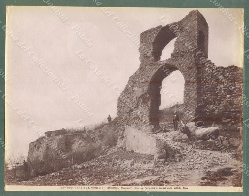 GROSSETO dintorni, Istia. La Portaccia. Foto originale Alinari, circa 1890