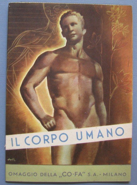 Il Corpo Umano