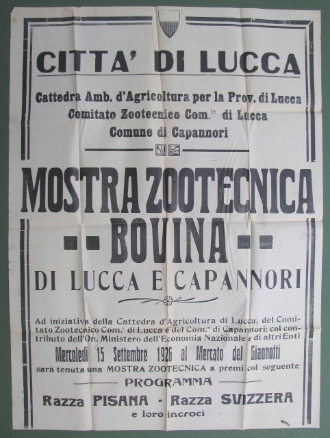 Mostra zootecnica e bovina di Lucca e Capannori
