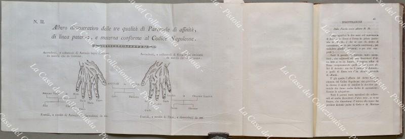 NUOVO TRATTATO PRATICO DELLE SUCCESSIONI INTESTATE SECONDO IL CODICE NAPOLEONE …