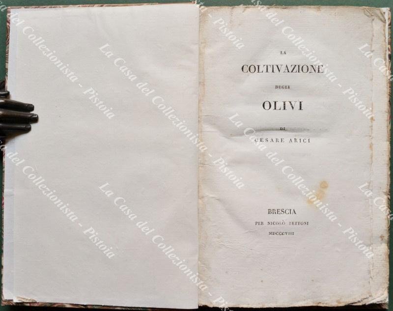 (Olivicoltura) ARICCI CESARE. LA COLTIVAZIONE DEGLI OLIVI. Brescia, per Nicol√≤ …