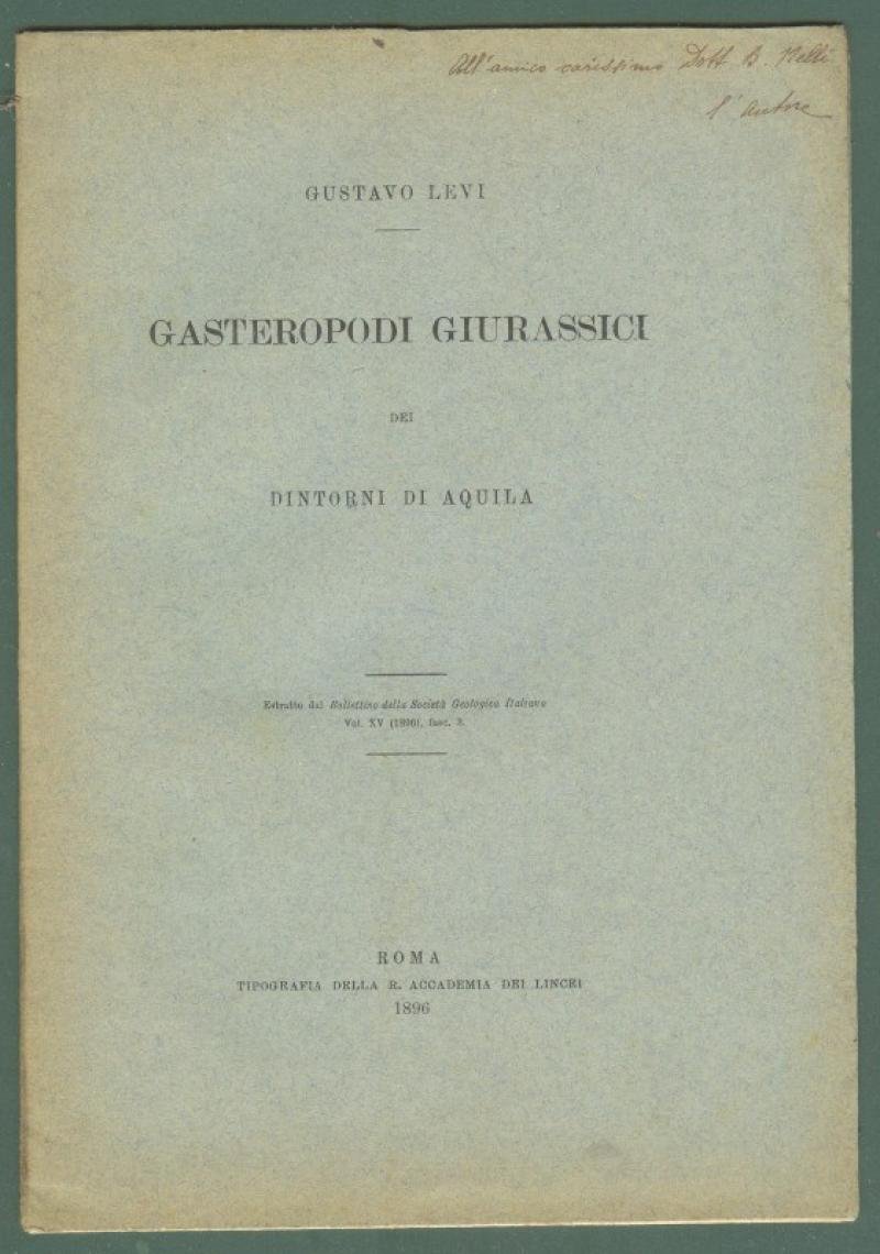 Paleontologia - Abruzzo. LEVI GUSTAVO. &quot;Gasteropodi giurassici.Aquila&quot;, 1896