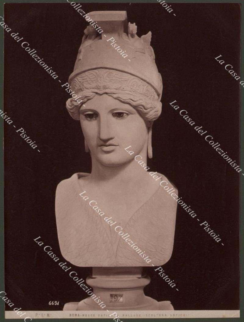 PALLADE. Statua in marmo. Musei Vaticani. Fotografia originale fine &#39;800