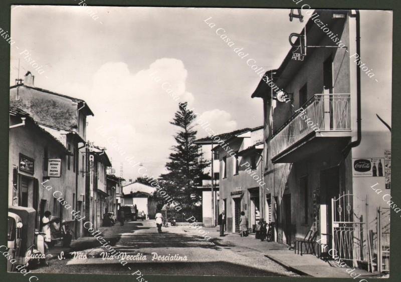 SAN VITO, Lucca. Via Vecchia Pesciatina. Cartolina circa 1960