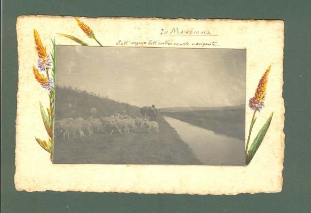 TOSCANA. Maremma. Sull&#39;argine dell&#39;Antico canale navigante. Foto d&#39;epoca, anno 1909.