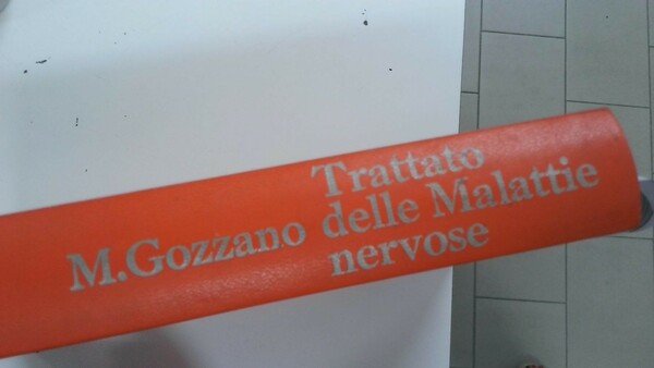 Trattato delle malattie nervose