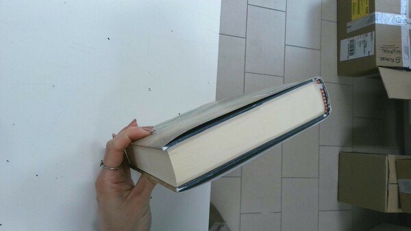 I guerrieri del ghiaccio. Le Cronache del ghiaccio e del …