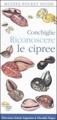 Conchiglie. Riconoscere le cipree