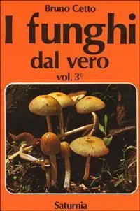 I funghi dal vero (Vol. 3) | Immagine principale