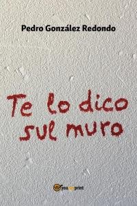 Te lo dico sul muro | Immagine principale