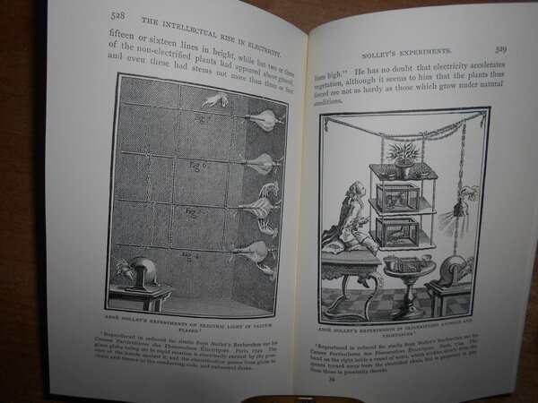 A History of Electricity