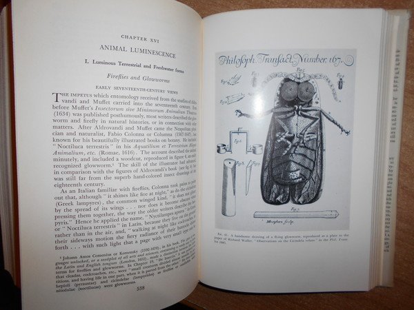 A History of LUMINESCENCE From the Earliest Times Until 1900