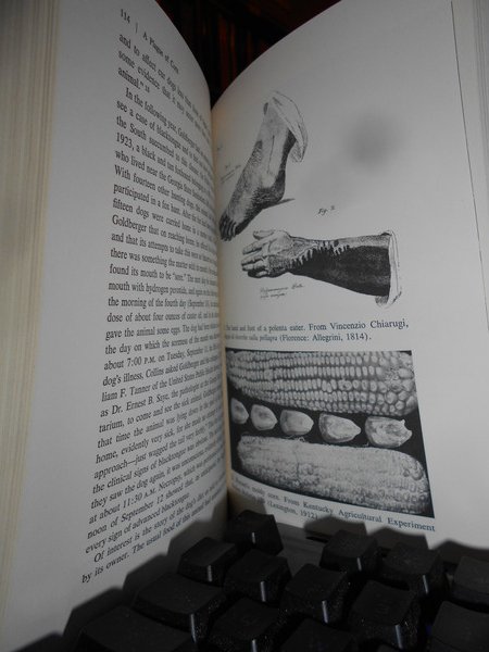 A Plague of Corn:The Social History of Pellagra
