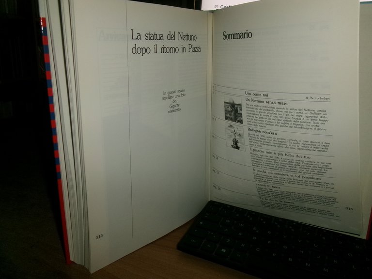 AA. VV. FABIO E FILIPPO RAFFAELLI. IL NETTUNO SI RACCONTA …