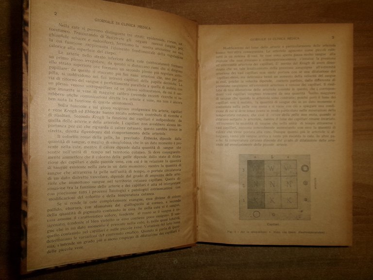 AA. VV. GIORNALE di CLINICA MEDICA 1946