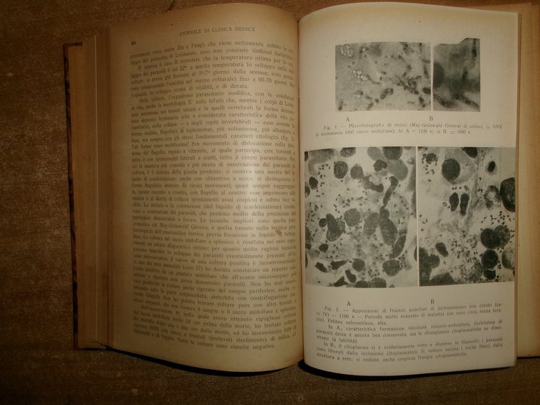 AA. VV. GIORNALE di CLINICA MEDICA 1946