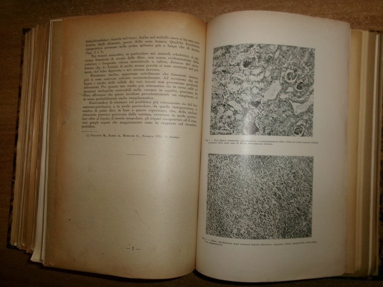 AA. VV. MISCELLANEA LABORATORIO TERAPIA. Innumerevoli Opuscoli/Estratti in 2 vol.
