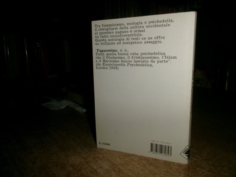AA.VV. NEO PAGANESIMO 1999 | Immagine Gallery 2