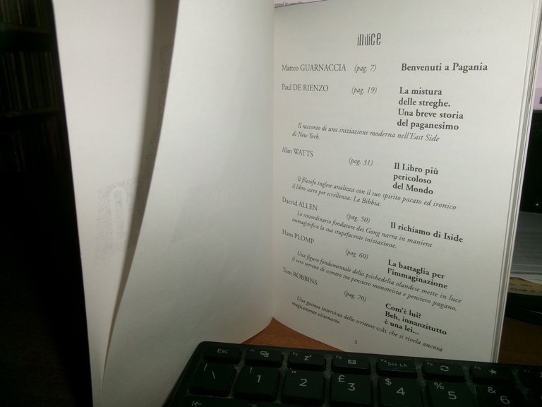 AA.VV. NEO PAGANESIMO 1999 | Immagine Gallery 4