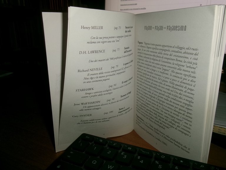 AA.VV. NEO PAGANESIMO 1999 | Immagine Gallery 6