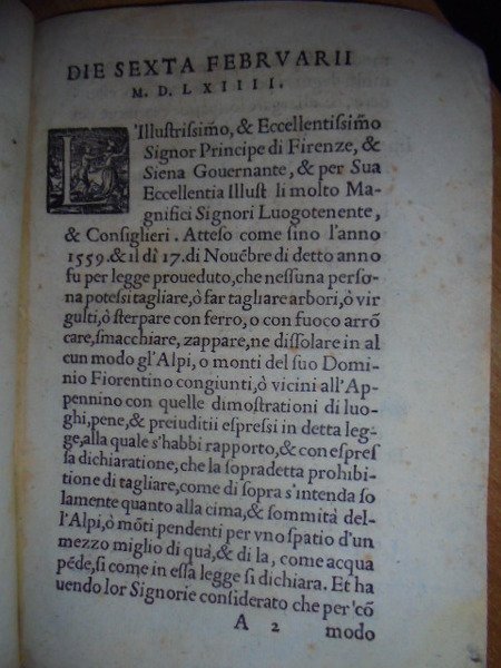 AGGIUNTA alla LEGGE dell' anno 1559, del non tagliare ne' …