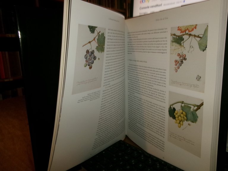 ALFREDO ANTONAROS. La Grande Storia del VINO 2000 | Immagine Gallery 9