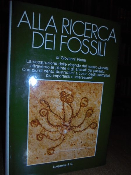 Alla ricerca dei fossili di Alla ricerca dei fossili di …