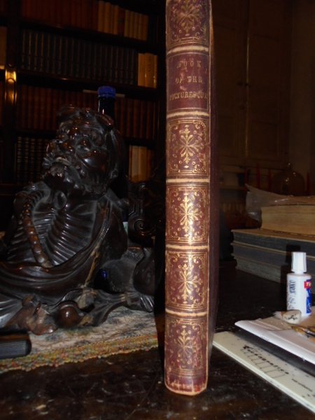 (America) HOME (The) book picturesque: American scenery, art, and literature …