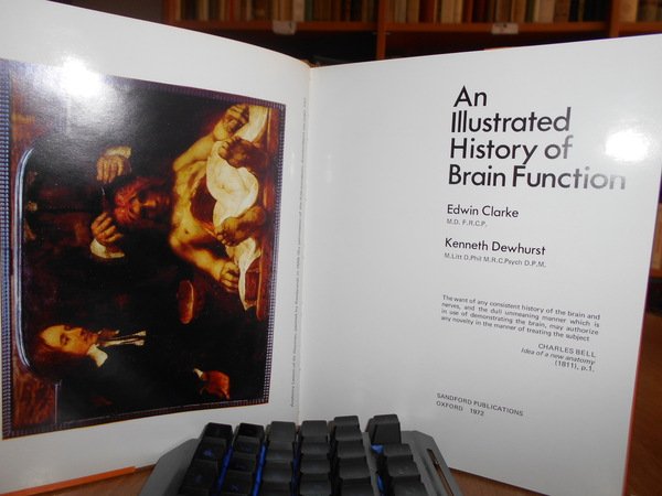 An Illustrated History of Brain Function