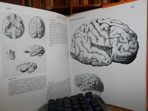 An Illustrated History of Brain Function