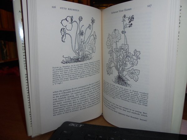 An illustrated History of the HERBALS
