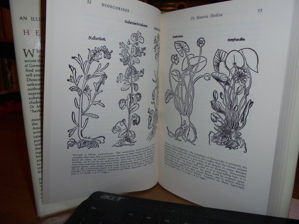 An illustrated History of the HERBALS