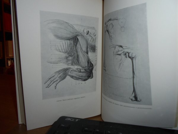 (Anatomia) Storia dell' Iconografia Anatomica