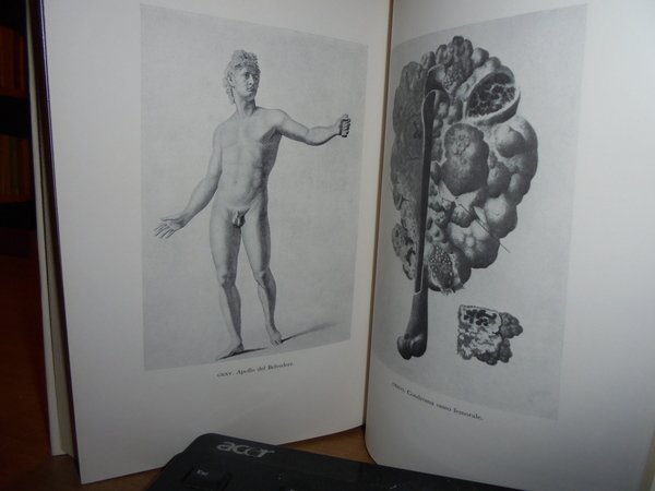 (Anatomia) Storia dell' Iconografia Anatomica