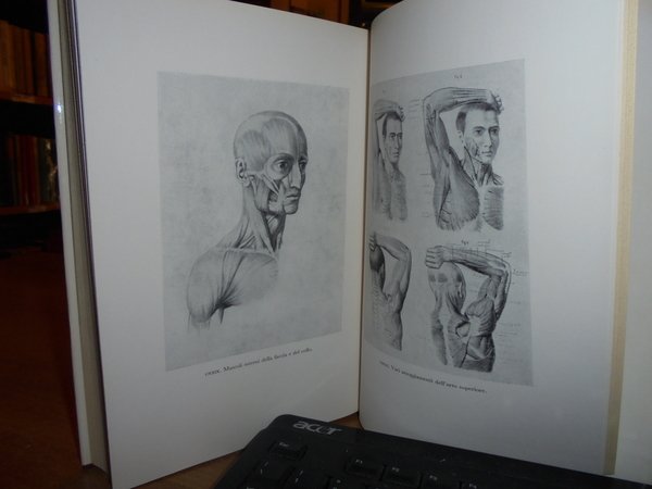 (Anatomia) Storia dell' Iconografia Anatomica