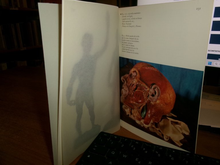ANATOMIE PLASTIQUE. LUIGI BELLONI 1960