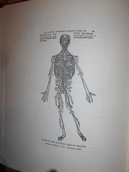 ANDREAS VESALIUS The Reformer of Anatomy