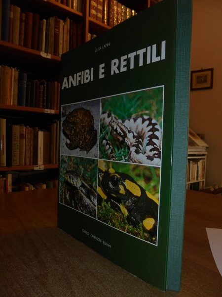 ANFIBI E RETTILI