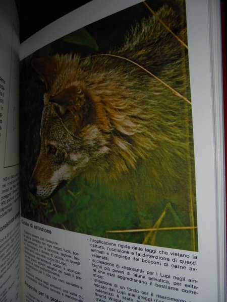 Animali in pericolo di estinzione