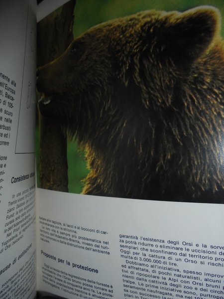 Animali in pericolo di estinzione