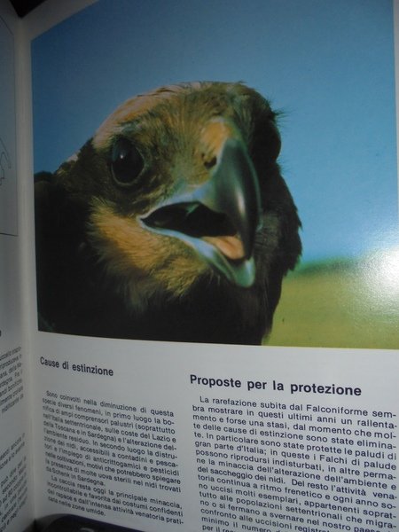 Animali in pericolo di estinzione