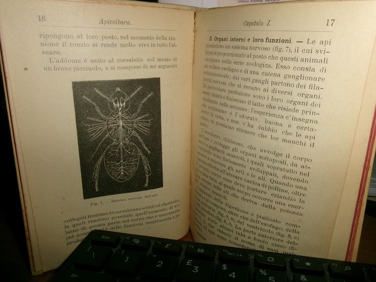 APICOLTURA di G. CANESTRINI - Quarta edizione - HOEPLI 1902.