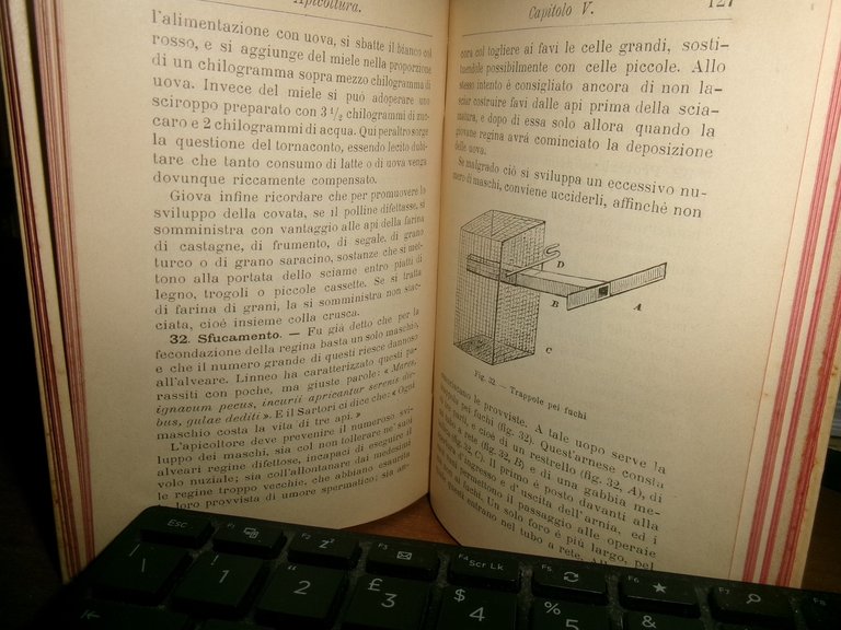 APICOLTURA di G. CANESTRINI - Quarta edizione - HOEPLI 1902.