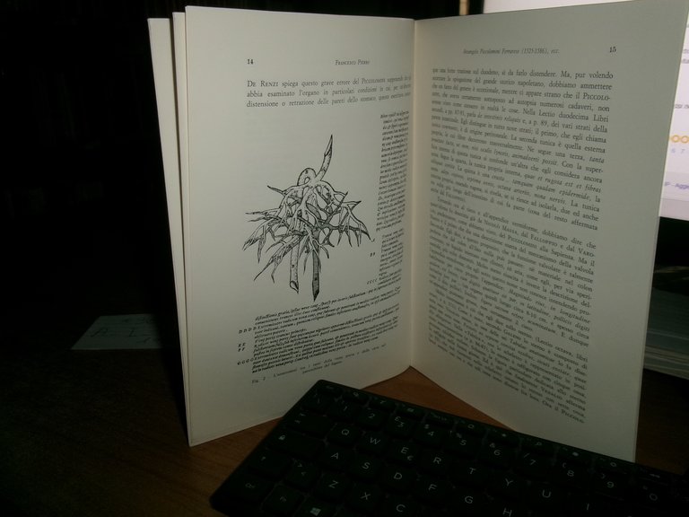 ARCANGELO PICCOLOMINI FERRARESE (1525-1586) e la sua importanza nell' Anatomia..