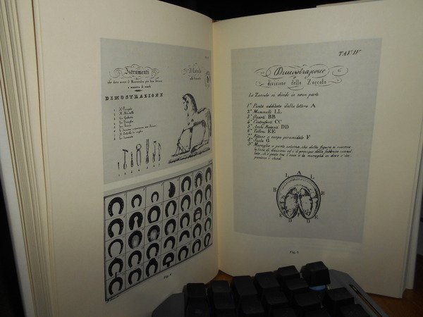 Arte della Stampa e Produzione Libraria a Bari